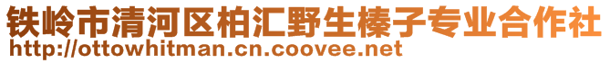 鐵嶺市清河區(qū)柏匯野生榛子專業(yè)合作社
