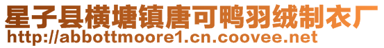 星子縣橫塘鎮唐可鴨羽絨制衣廠