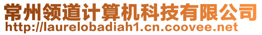 常州領(lǐng)道計算機科技有限公司