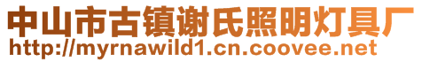 中山市古鎮(zhèn)謝氏照明燈具廠