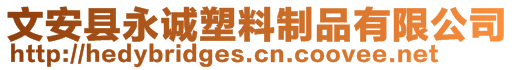 文安县永诚塑料制品有限公司