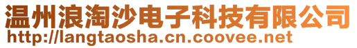 溫州浪淘沙電子科技有限公司