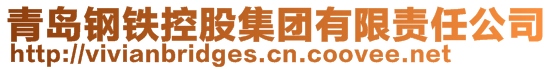 青岛钢铁控股集团有限责任公司