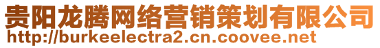 貴陽龍騰網(wǎng)絡(luò)營銷策劃有限公司