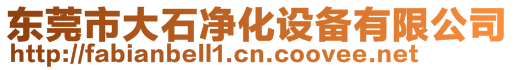 東莞市大石凈化設備有限公司