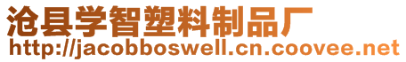 滄縣學智塑料制品廠