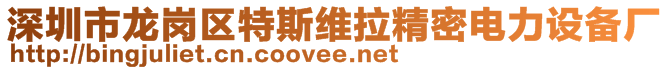 深圳市龍崗區(qū)特斯維拉精密電力設(shè)備廠