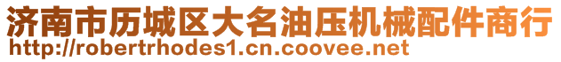 濟(jì)南市歷城區(qū)大名油壓機(jī)械配件商行