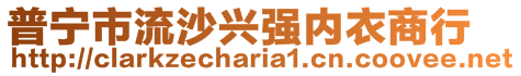 普寧市流沙興強內衣商行
