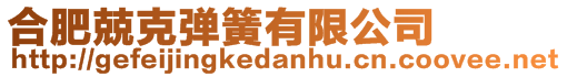 合肥兢克彈簧有限公司