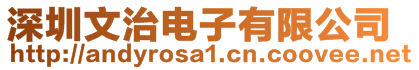 深圳文治電子有限公司