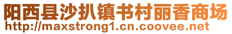 陽(yáng)西縣沙扒鎮(zhèn)書(shū)村麗香商場(chǎng)