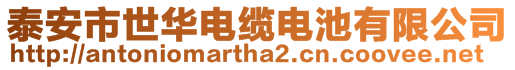 泰安市世華電纜電池有限公司