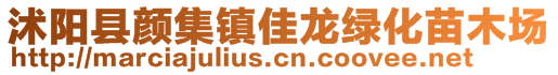 沭陽縣顏集鎮(zhèn)佳龍綠化苗木場