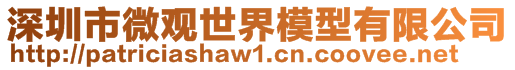 深圳市微觀世界模型有限公司