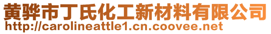 黄骅市丁氏化工新材料有限公司