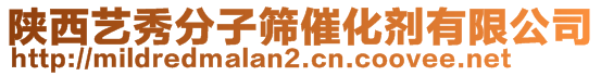 陜西藝秀分子篩催化劑有限公司