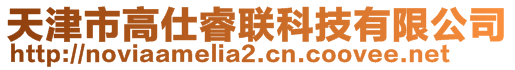 天津市高仕睿聯科技有限公司