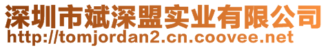 深圳市斌深盟实业有限公司