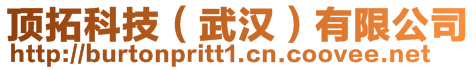 頂拓科技（武漢）有限公司