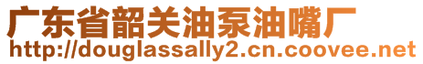 廣東省韶關油泵油嘴廠