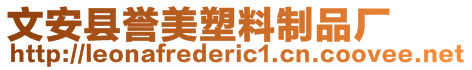 文安縣譽美塑料制品廠