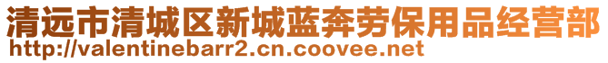清遠(yuǎn)市清城區(qū)新城藍(lán)奔勞保用品經(jīng)營(yíng)部