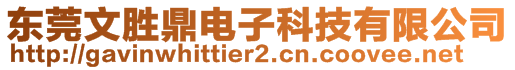 東莞文勝鼎電子科技有限公司