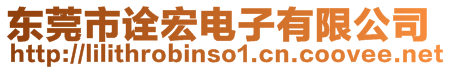 東莞市詮宏電子有限公司