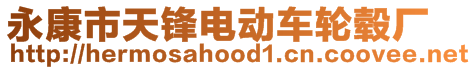 永康市天鋒電動(dòng)車輪轂廠