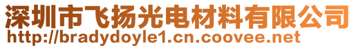 深圳市飞扬光电材料有限公司