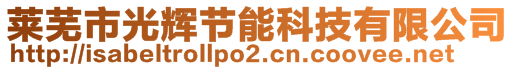 萊蕪市光輝節(jié)能科技有限公司