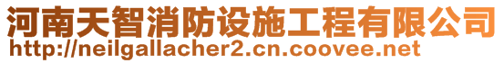 河南天智消防設(shè)施工程有限公司