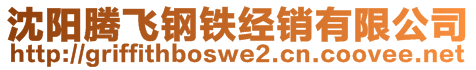 沈阳腾飞钢铁经销有限公司