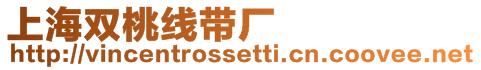 上海雙桃線帶廠