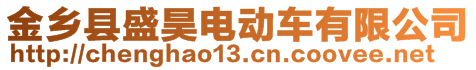 金鄉(xiāng)縣盛昊電動車有限公司