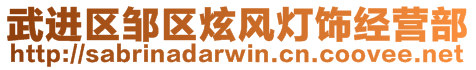武進區鄒區炫風燈飾經營部