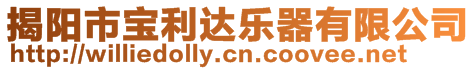 揭陽(yáng)市寶利達(dá)樂(lè)器有限公司