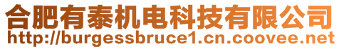 合肥有泰機(jī)電科技有限公司