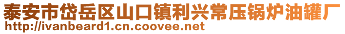 泰安市岱岳區(qū)山口鎮(zhèn)利興常壓鍋爐油罐廠