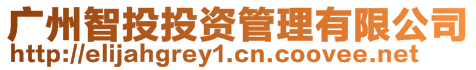 廣州智投投資管理有限公司