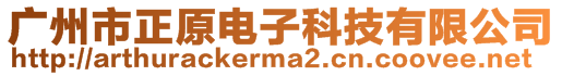 廣州市正原電子科技有限公司