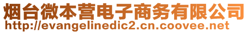 煙臺微本營電子商務(wù)有限公司