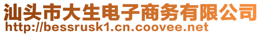 汕头市大生电子商务有限公司