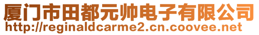 廈門市田都元帥電子有限公司