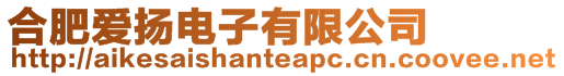 合肥愛揚電子有限公司