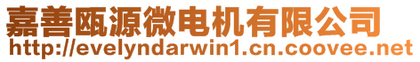 嘉善甌源微電機(jī)有限公司