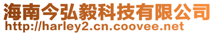 海南今弘毅科技有限公司