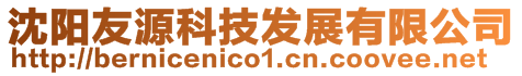 沈陽(yáng)友源科技發(fā)展有限公司