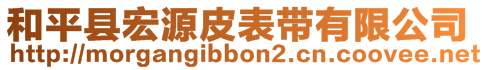 和平縣宏源皮表帶有限公司